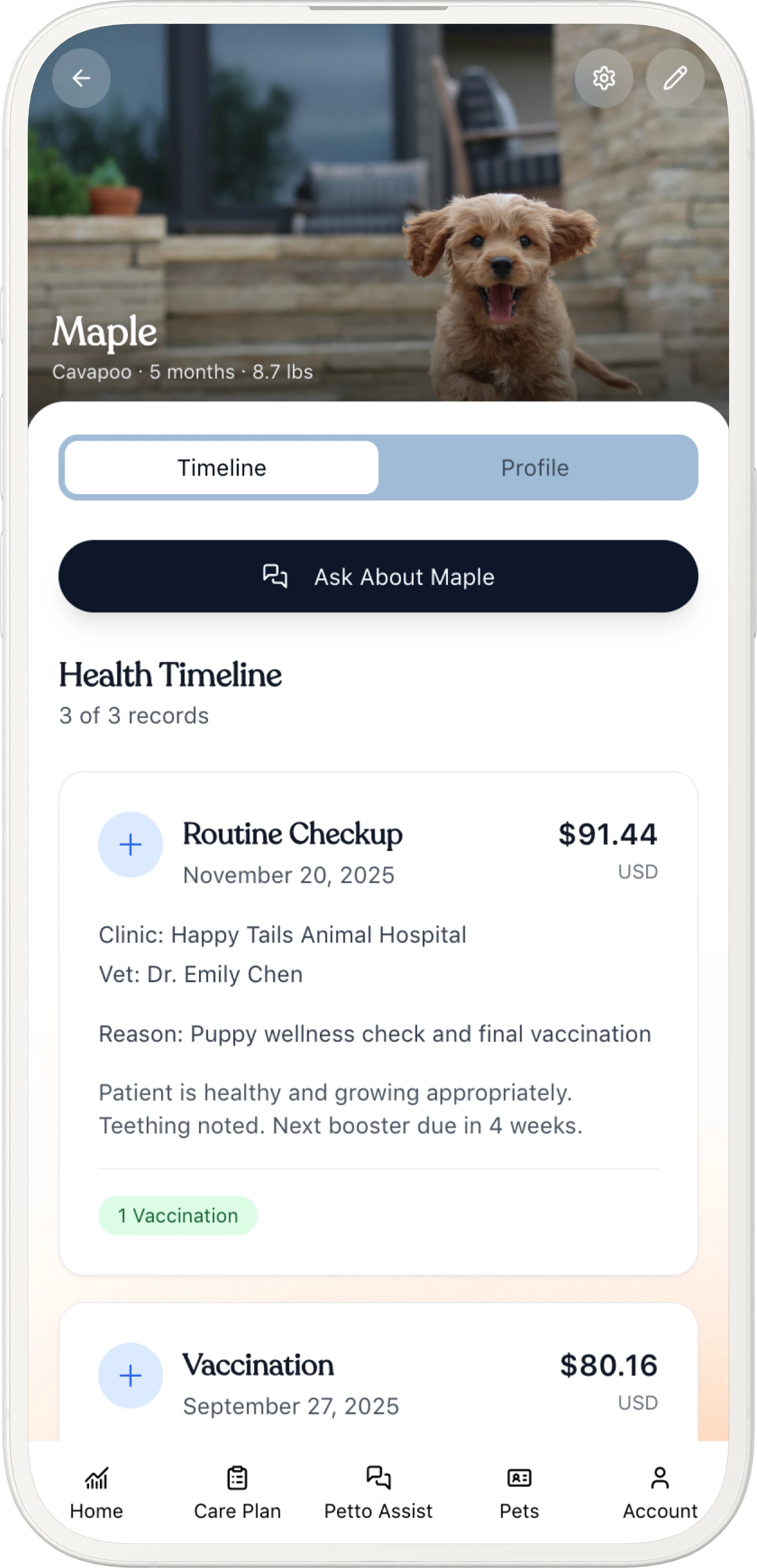 Petto Health app screenshot on iPhone showing multi-pet dashboard with health habits tracking and medical records for dogs, cats, and other pets